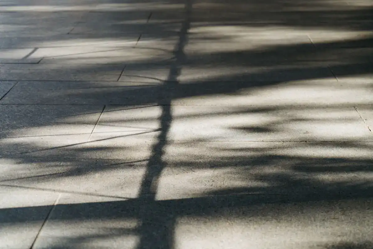 A concrete sidewalk with tree shadows falling across it, showing the jointed square panels and the fine broom texture of the finished surface.