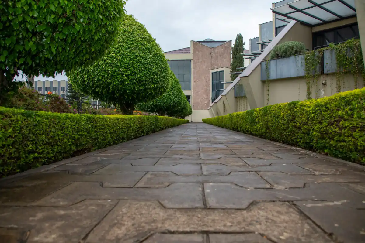 A stamped concrete surface pressed with a large irregular flagstone pattern, running between clipped hedges toward a building, with the grout lines of the pattern clearly visible.